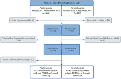 Disparities in Stroke Patient-Reported Outcomes Measurement Between Healthcare Systems in Brazil